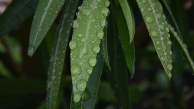 dropped call frequency analysis