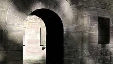 erp portal access information