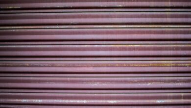 inbanithi age and biography