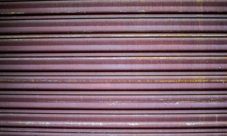 inbanithi age and biography