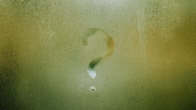 symbolism and significance explored